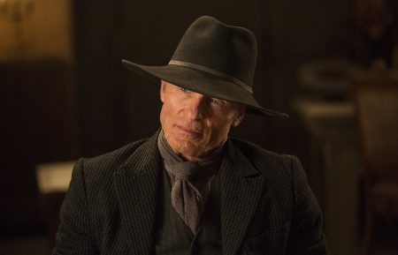 Westworld - Ed Harris