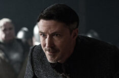 Aidan Gillen as Petyr 'Littlefinger' Baelish