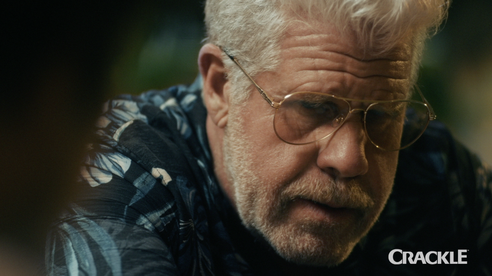 StartUp, Season 2, Crackle, Ron Perlman