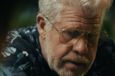 StartUp, Season 2, Crackle, Ron Perlman