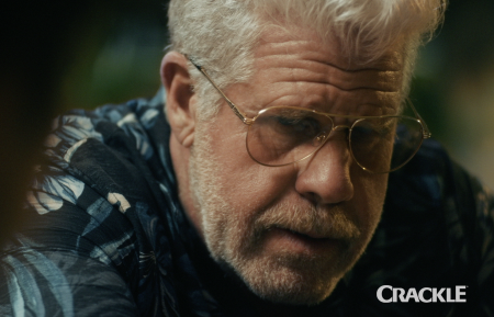 StartUp, Season 2, Crackle, Ron Perlman