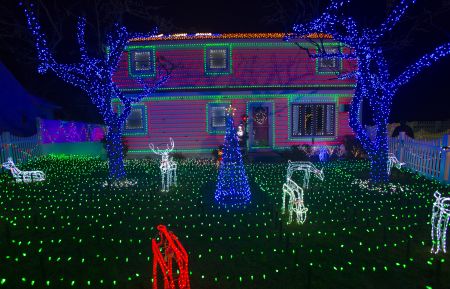 THE GREAT CHRISTMAS LIGHT FIGHT