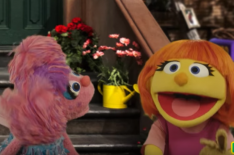 'Sesame Street' Introduces Julia, a Muppet With Autism