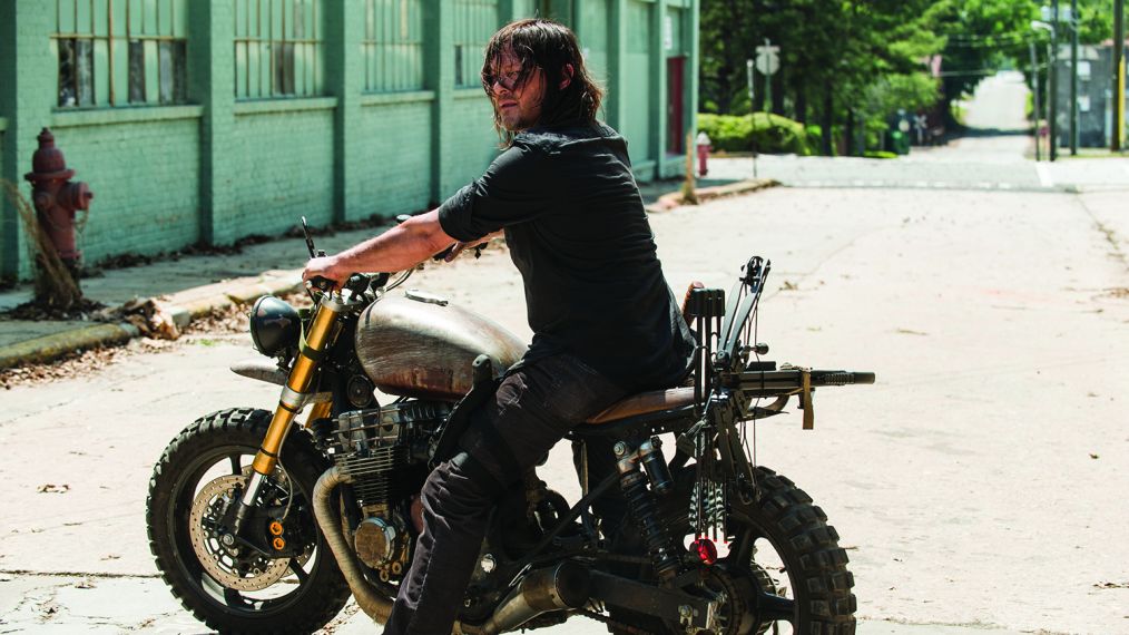 The Walking Dead - Norman Reedus