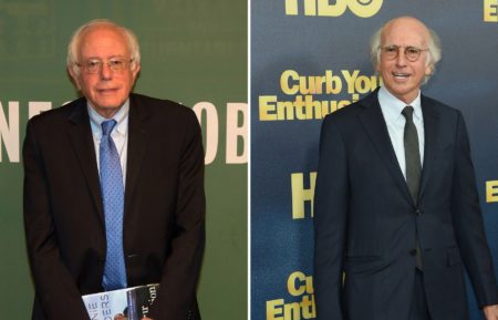 Larry David, Bernie Sanders