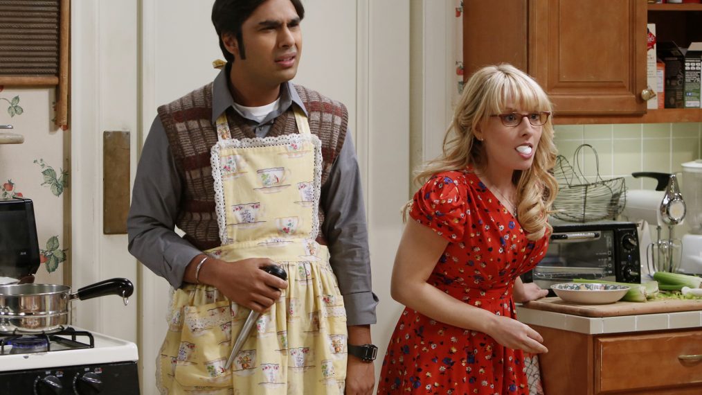 The Big Bang Theory, The Thanksgiving Decoupling