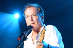 David Cassidy performs during the Paradise Artists Party at IEBA Conference in October 2012