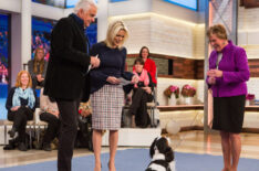 John O'Hurley, host of The National Dog Show, on set at Megyn Kelly Show