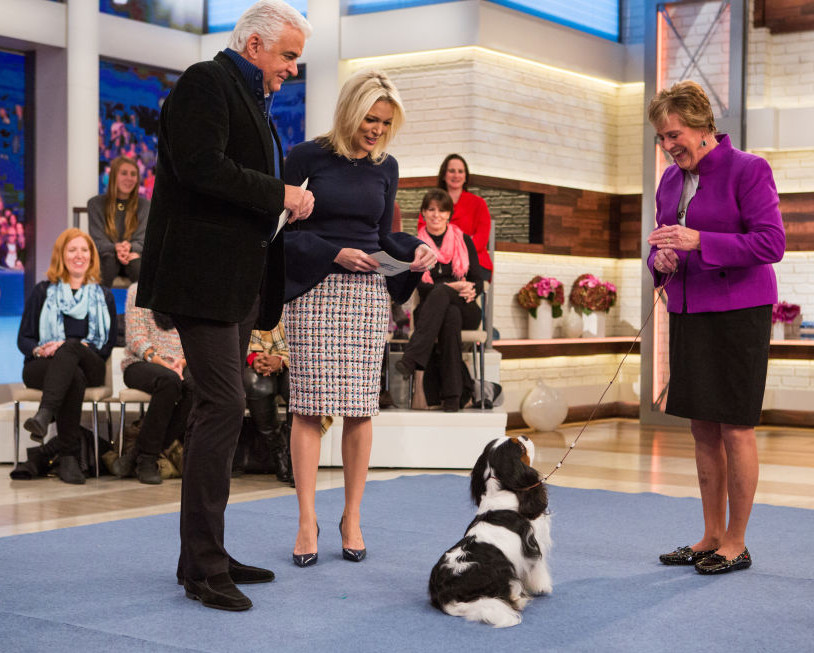 The National Dog Show, John O'Hurley, Meghan Kelly