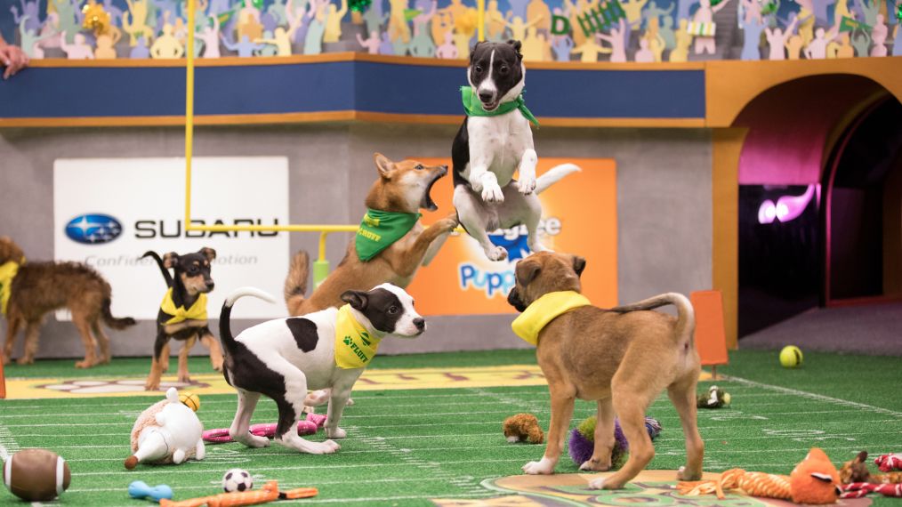 PUPPY BOWL