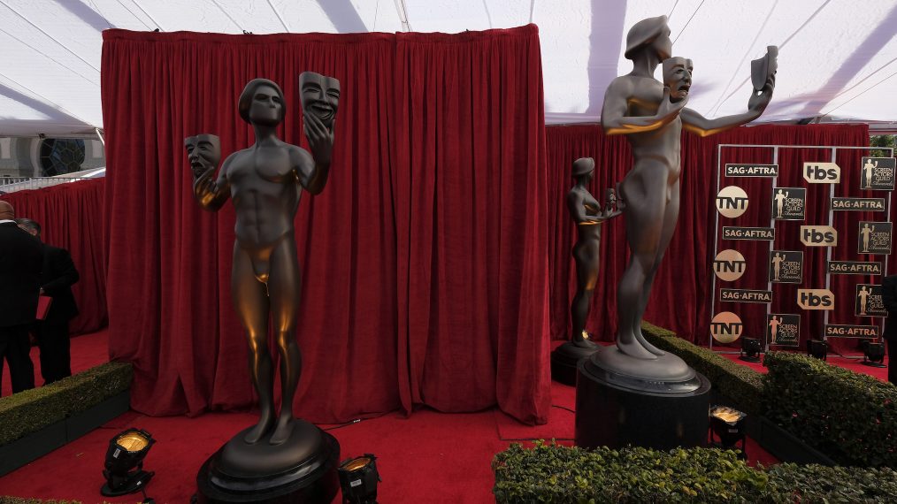 The 23rd Annual Screen Actors Guild Awards - Red Carpet