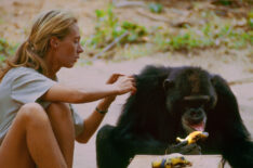 Jane Goodall shares a moment with a chimp