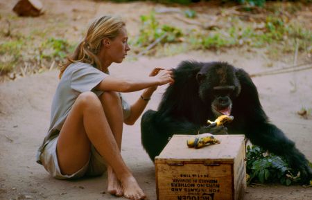 Jane Goodall shares a moment with a chimp