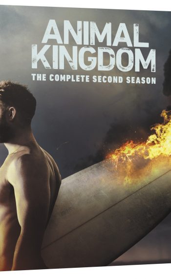 Animal Kingdom S2 DVD Gift Guide