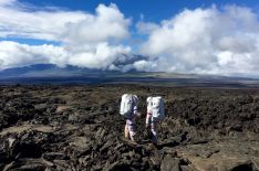 Nat Geo's 'One Strange Rock' Docuseries Explores What Makes Earth So Unique