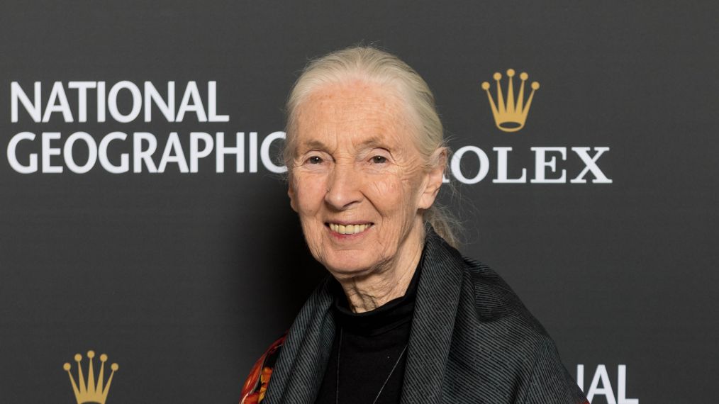 Dr. Jane Goodall arrives for the National Geographic 'An Evening Of Exploration'