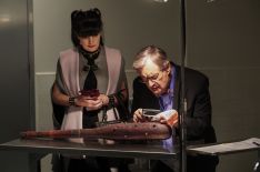 Pauley Perrette Shares Photos From Her Final Days on the 'NCIS' Set
