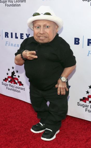 Verne Troyer