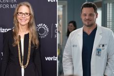 'Grey's Anatomy' Casts 'Bionic Woman' Star Lindsay Wagner as Alex Karev's Mom