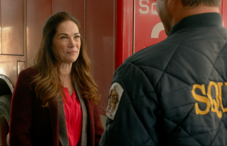 Kim Delaney in Chicago Fire