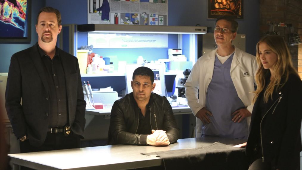 Is Abby Coming Back To Ncis 2024 Spoilers Amata Bethina