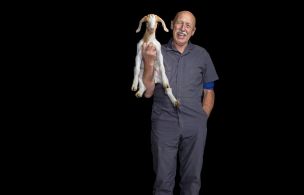 The Incredible Dr. Pol The Incredible Dr. Pol