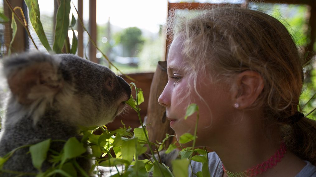 'Dodo Heroes' Clip: Meet Izzy, the 10-year-old Koala Whisperer