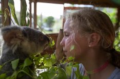 WATCH: 'Dodo Heroes' Introduces Viewers to Izzy, a 10-Year-Old 'Koala Whisperer'