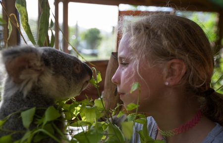 'Dodo Heroes' Clip: Meet Izzy, the 10-year-old Koala Whisperer