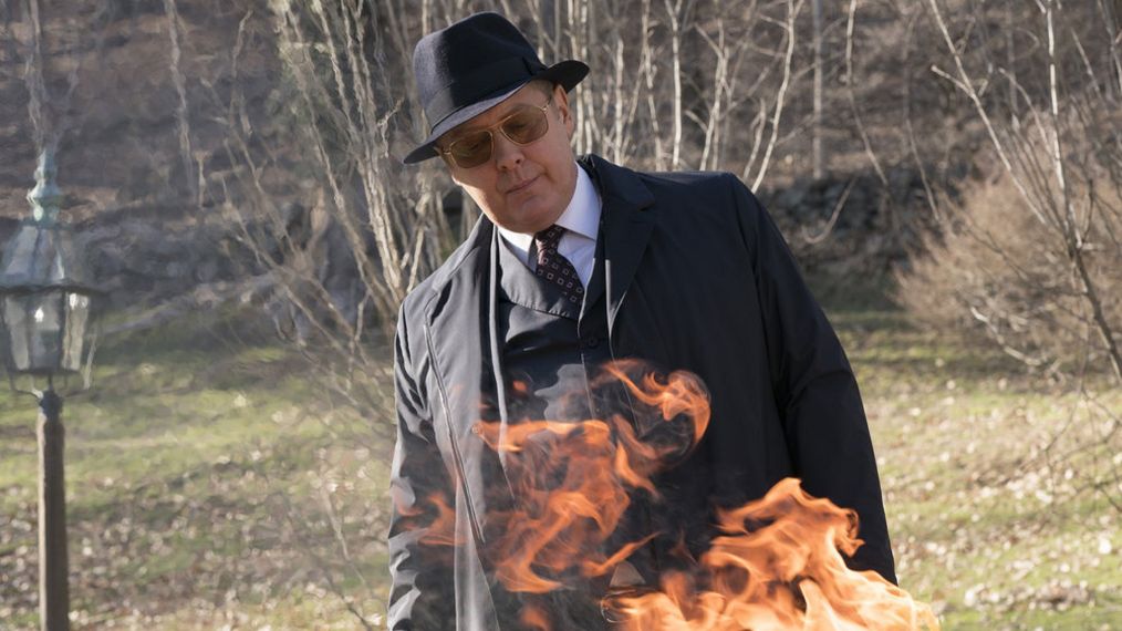 James Spader as Raymond Reddington