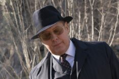 James Spader as Raymond Reddington