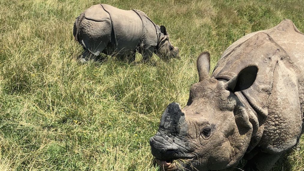 We Head to Columbus With Nat Geo WILD to Learn the 'Secrets of the Zoo'! (PHOTOS)