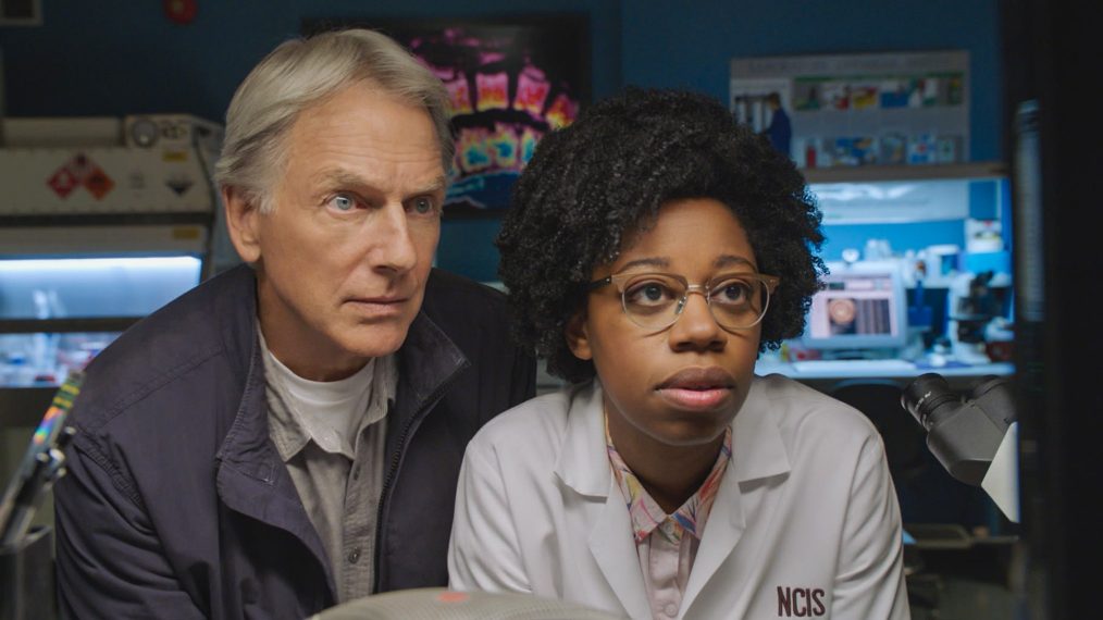 NCIS - Mark Harmon and Diona Reasonover