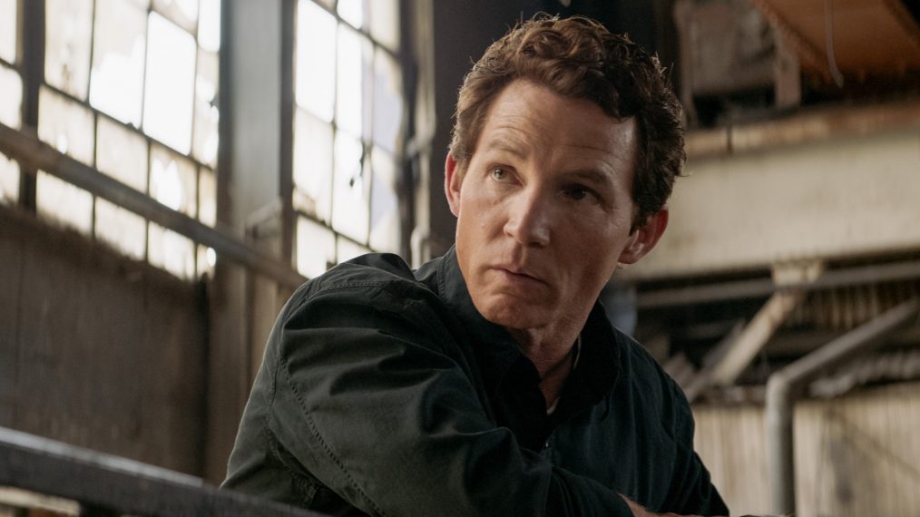 Animal Kingdom - Shawn Hatosy