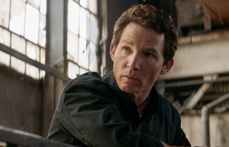 Animal Kingdom - Shawn Hatosy