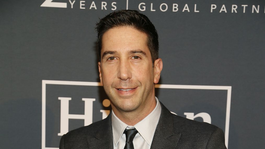 David Schwimmer to Star on 'Will & Grace' in Recurring Role