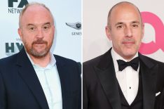 Louis C.K. & Matt Lauer Return to the Public Eye — Is It Too Soon? (POLL)