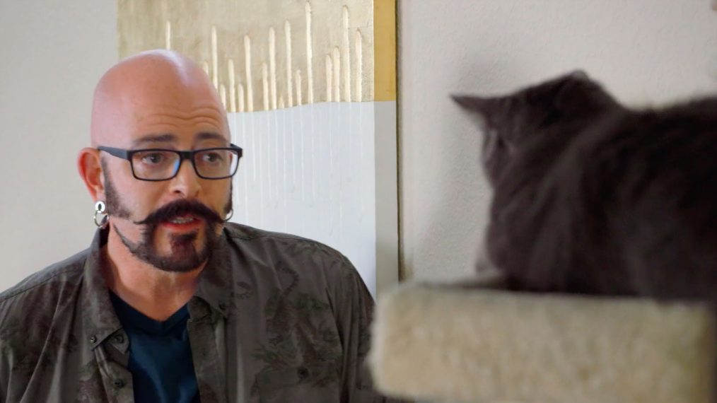 jackson galaxy cat from hell