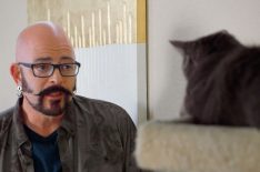 Me-WOW! Animal Planet Announces 'My Cat From Hell' Season 10 Premiere Date (VIDEO)