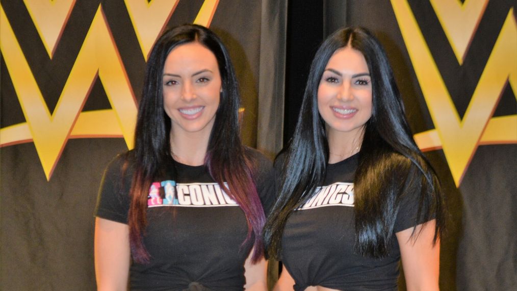 IIconics