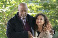Grey's Anatomy - Richard and Catherine - James Pickens Jr. and Debbie Allen - 'With a Wonder and a Wild Desire'