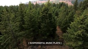 'Alaskan Bush People': 'Bird and the Bees' (RECAP)