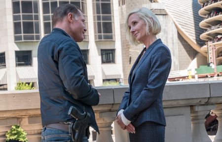 Chicago P.D. - Jason Beghe, Anne Heche