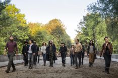 6 'Walking Dead' Comics Storylines We're Hoping to See in Season 9 (PHOTOS)