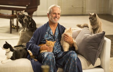 Gregory Harrison with many cats in 'American Housewife'