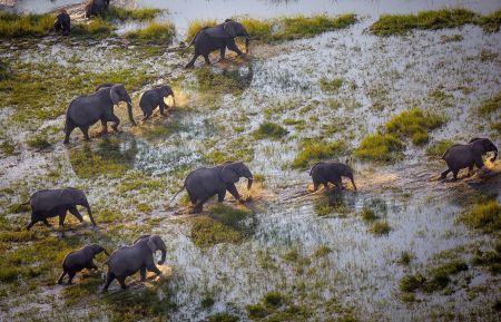 Into the Okavango