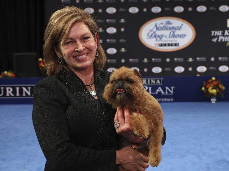 best in show national dog show 2018