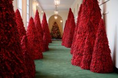 HGTV Will Take a Closer Look at the White House's Buzzed-About Christmas Decorations
