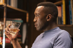 True Detective - Mahershala Ali as Wayne Hays - Season 3