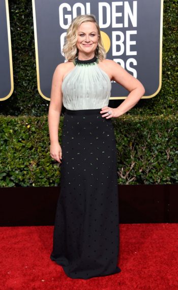 76th Annual Golden Globe Awards - Amy Poehler
